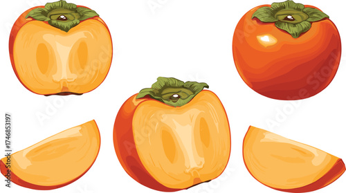Fresh ripe persimmon fruit illustration, whole persimmons, sliced persimmons, juicy orange pulp, healthy tropical fruit, organic food, botanical drawing, seasonal harvest