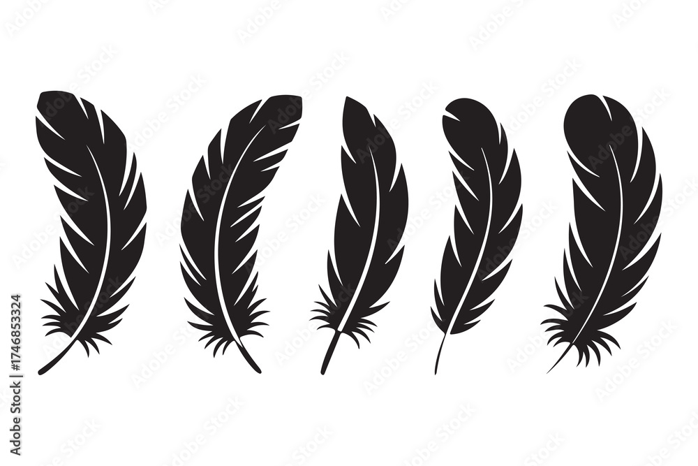 Fototapeta premium Set of five black feather silhouettes isolated on white background minimalist style 