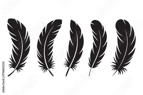 Set of five black feather silhouettes isolated on white background minimalist style
