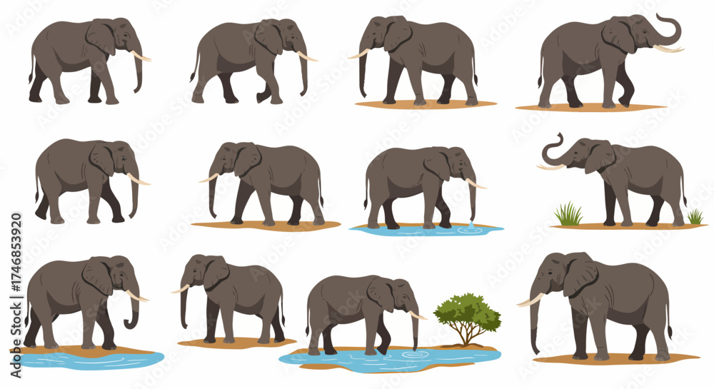 Obraz premium Collection of twelve illustrations of grey elephants in various poses