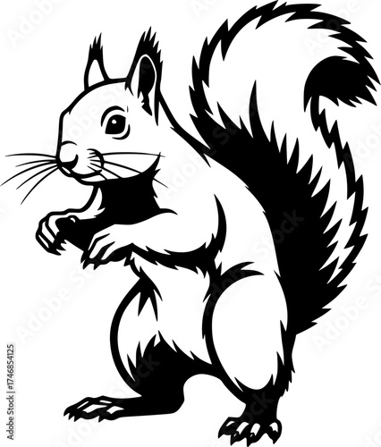 Black and White Squirrel, standing in a bold, graphical way, ready for action.
