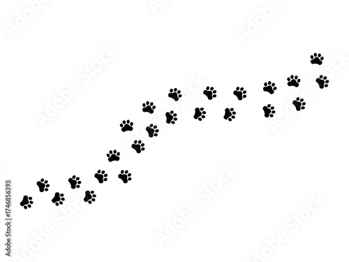 Paw Vector Icon Foot Trail Print of Cat or Dog Tracks Isolated on White Background