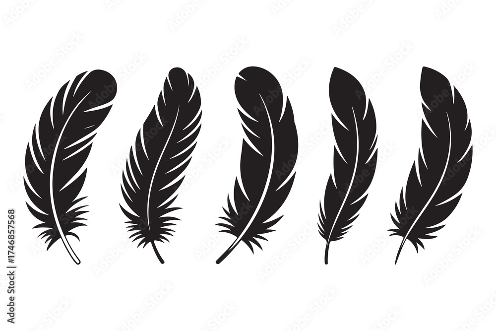 Obraz premium Set of five black feather silhouettes isolated on white background minimalist style 