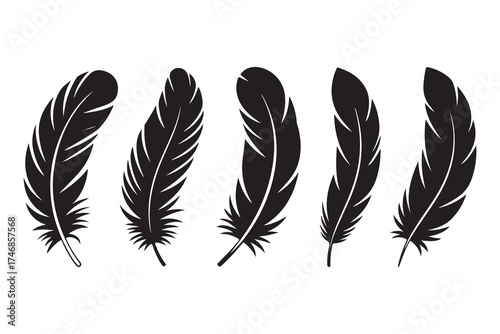 Set of five black feather silhouettes isolated on white background minimalist style
