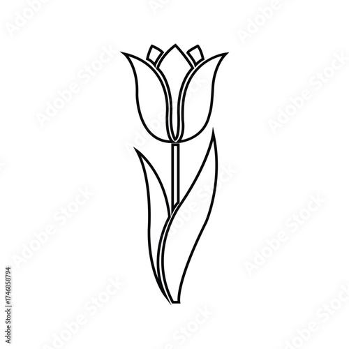 Single outline tulip blossom and stem stands vertically against a simple white background