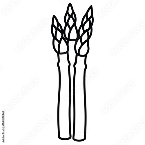 asparagus bunch vector line art icon