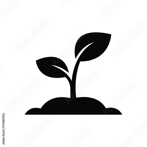 Black seedling grows with small leaves sprouting from a mound of soil on white background