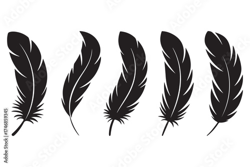 Set of five black feather silhouettes isolated on white background minimalist style
