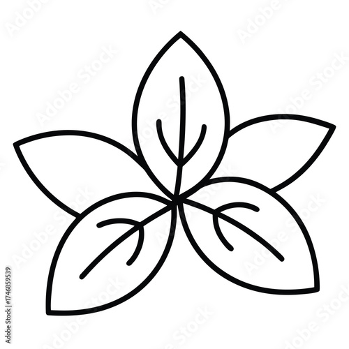 basil leaves vector line art icon