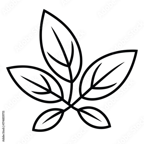 bay leaf bunch vector line art icon