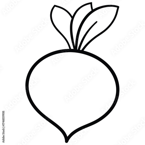 beetroot vector line art icon