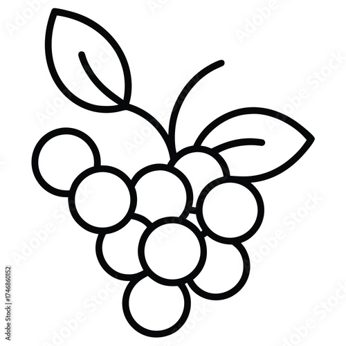 berries  vector line art icon