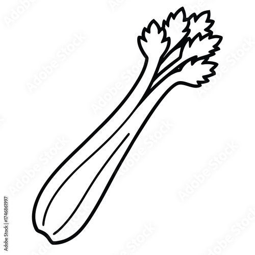 celery vector line art icon