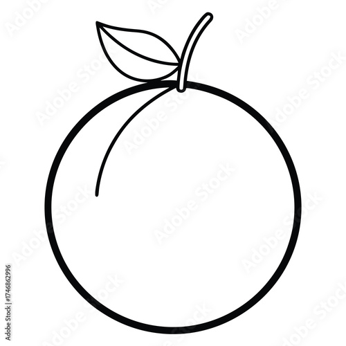 citrus fruit vector line art icon