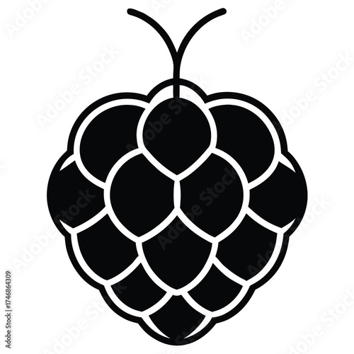 custard apple vector line art icon