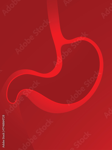Human stomach internal organ medical illustration with red background and anatomy concept