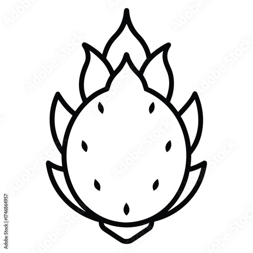 dragon fruit  vector line art icon