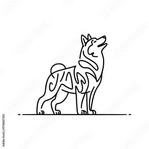 Elegant Shiba Inu line art looking up, a modern dog illustration for pet lovers and minimalist designs