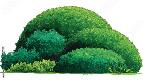 Elegant Landscaping Designs with Shaped Green Hedges for Garden Shrubs and Plants