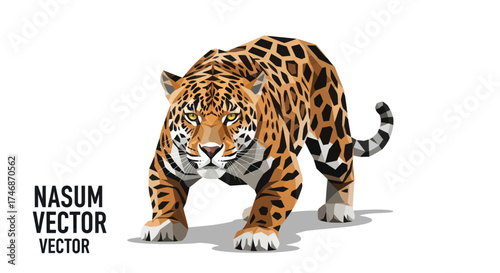 Majestic Spotted Jaguar Big Cat Walking Illustration.