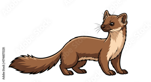 Illustration of a brown marten with a bushy tail standing alert.