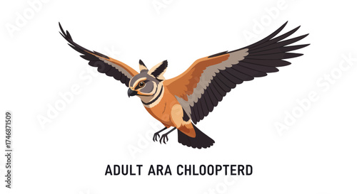 Stylized illustration of a large crested eagle soaring with wings fully spread.