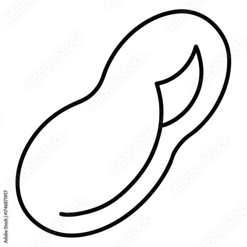 lima bean vector line art icon