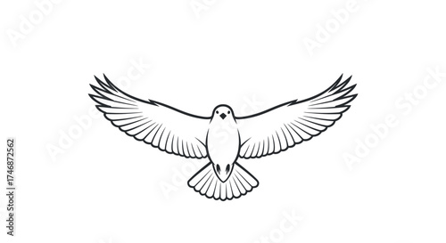 Graceful flying bird line art illustration with outstretched wings black and white sketch.