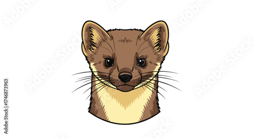 Cartoon Illustration of a Brown and White Weasel Head.