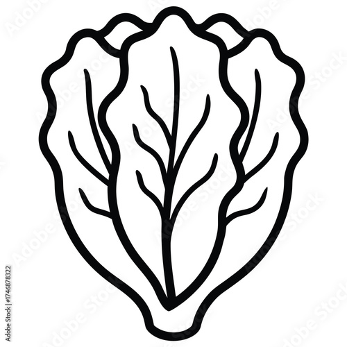 romaine lettuce vector line art icon