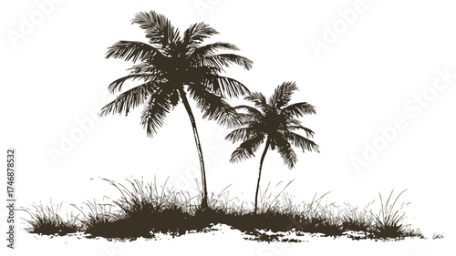 Tropical Palm Trees Silhouette on Grass - Perfect Summer Tranquility