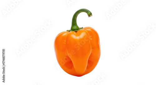 Photos Isolated orange habanero pepper, a hot chili pepper used as a spice ingredient i