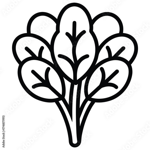spinach bunch vector line art icon