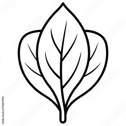 spinach leaf vector line art icon
