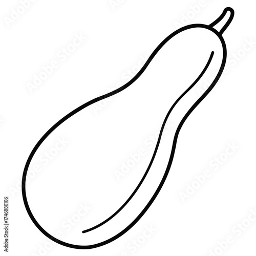 sponge gourd vector line art icon