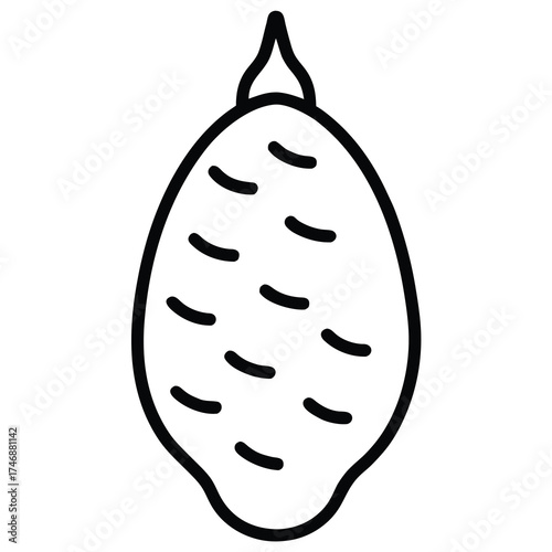 taro root vector line art icon