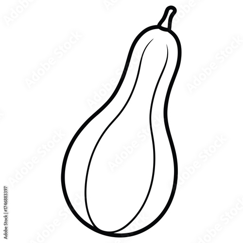 wax gourd vector line art icon