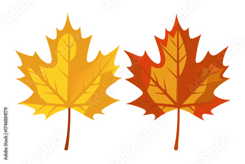 autumn maple leaves set isolated on white background