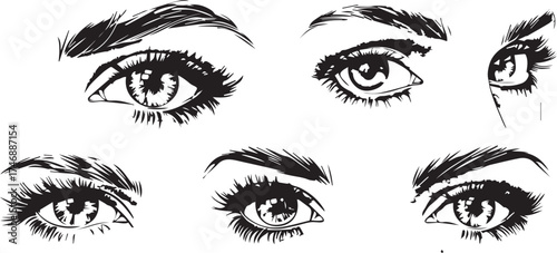 hand-drawn vector set of female eyes with different eyelashes and eyebrows, a clip art collection isolated on a white background