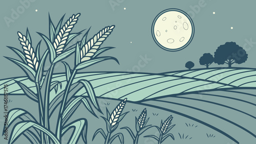 Vector illustration of night moon  over a cornfield filled with ripening corn ears.