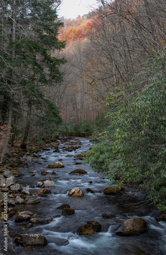Obraz premium Scenic mountain stream panorama captured in fall with vibrant foliage and gentle rapids
