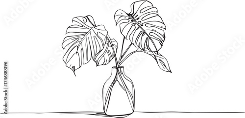 one-line drawing style, simple shapes, a vase with a monstera leaf inside, white background, no shadows