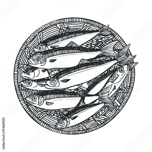 Delicious seafood arrangement with fresh fish for culinary art. Vector hand drawn illustration
