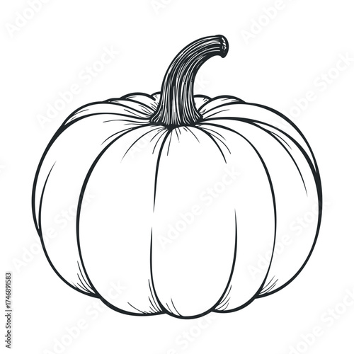 Hand drawn pumpkin design for autumn decoration. Vector hand drawn illustration