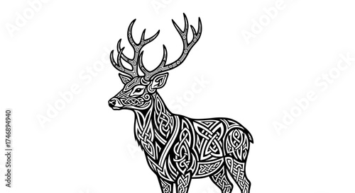 Elaborate Celtic Deer Illustration with Interwoven Knotwork on White Background