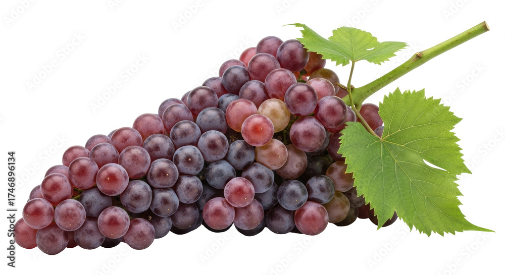 Fototapeta premium Isolated bunch of red grapes with stem and leaves on a light surface, fruit ingredient