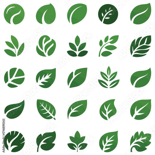 Green leaves vector icon set with nature and eco elements pattern design illustration