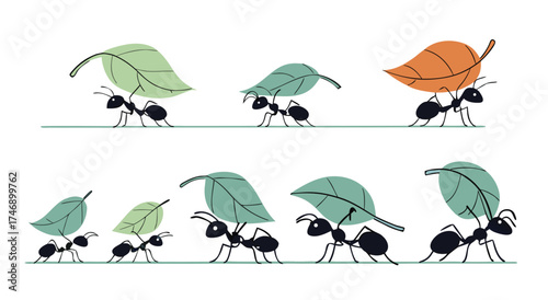A line of ants carrying leaves across a white background.

