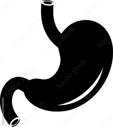 stomach icon flat vector icon
