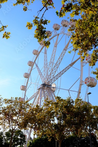 The photo of ferris wheel against bright blue sky with tree leaves in the frame. Shot in Barcelona, Spain in 2025.